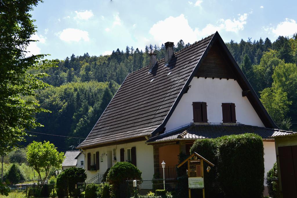 Le Gite De L'Ecureuil Sturzelbronn Exterior foto