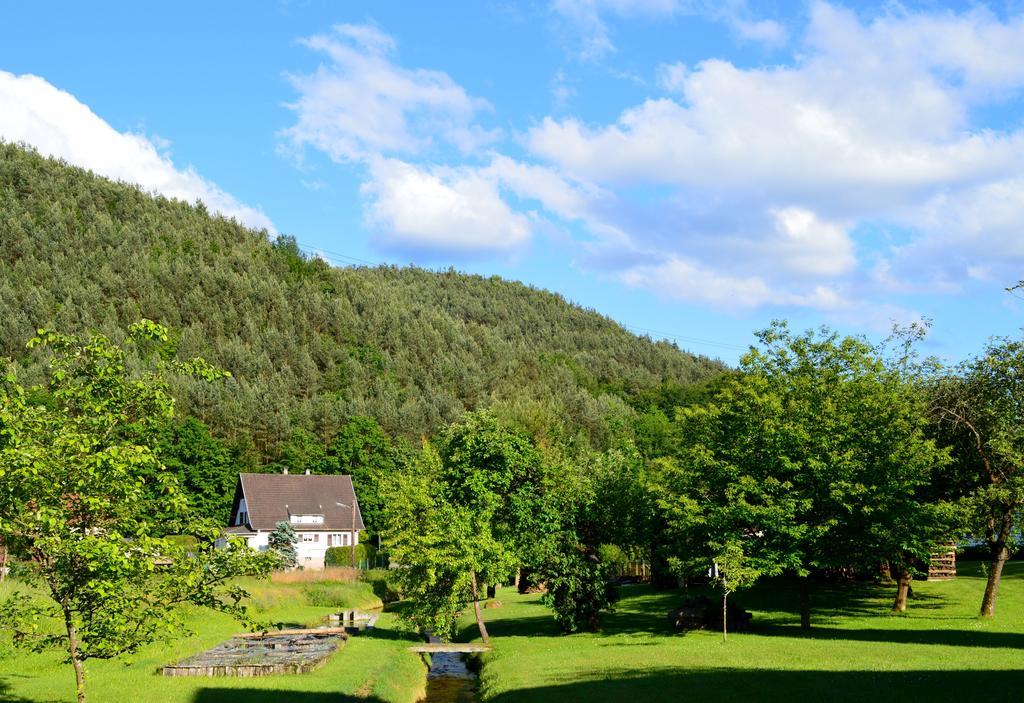 Le Gite De L'Ecureuil Sturzelbronn Exterior foto