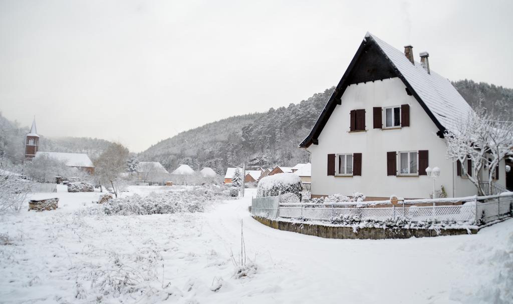 Le Gite De L'Ecureuil Sturzelbronn Exterior foto