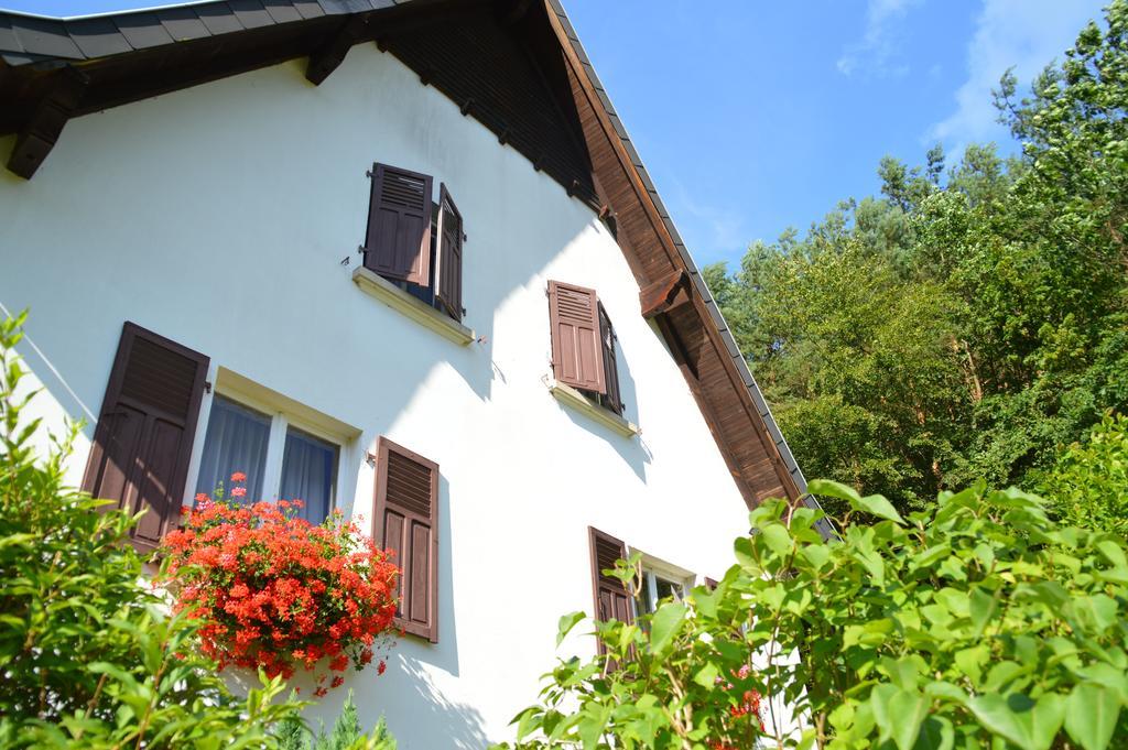 Le Gite De L'Ecureuil Sturzelbronn Exterior foto